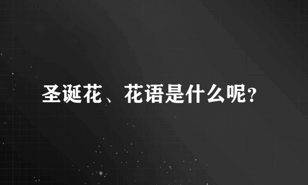 圣诞花、花语是什么呢？