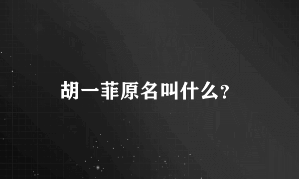 胡一菲原名叫什么？