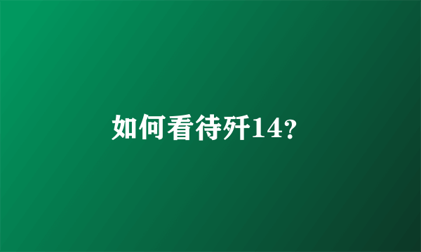 如何看待歼14？