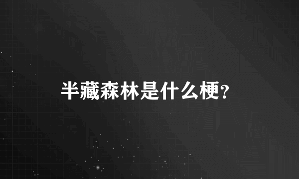 半藏森林是什么梗？