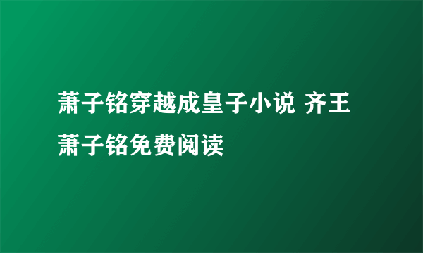 萧子铭穿越成皇子小说 齐王萧子铭免费阅读