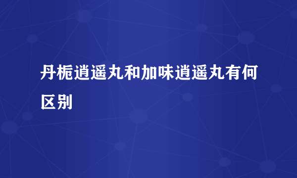 丹栀逍遥丸和加味逍遥丸有何区别