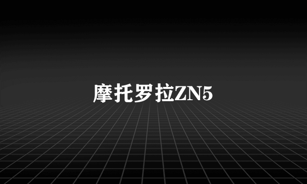 摩托罗拉ZN5