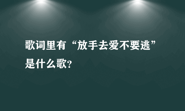 歌词里有“放手去爱不要逃”是什么歌？