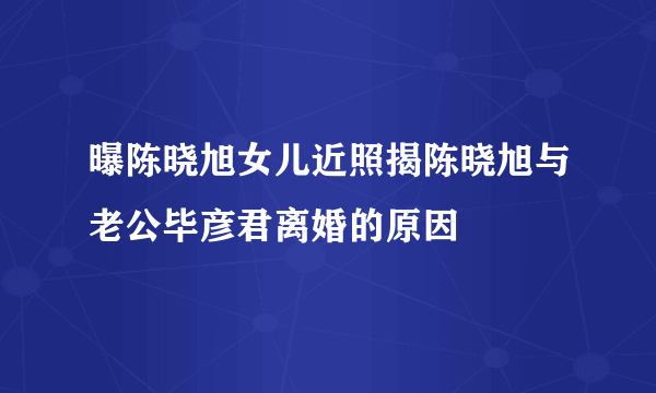 曝陈晓旭女儿近照揭陈晓旭与老公毕彦君离婚的原因