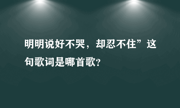 明明说好不哭，却忍不住”这句歌词是哪首歌？