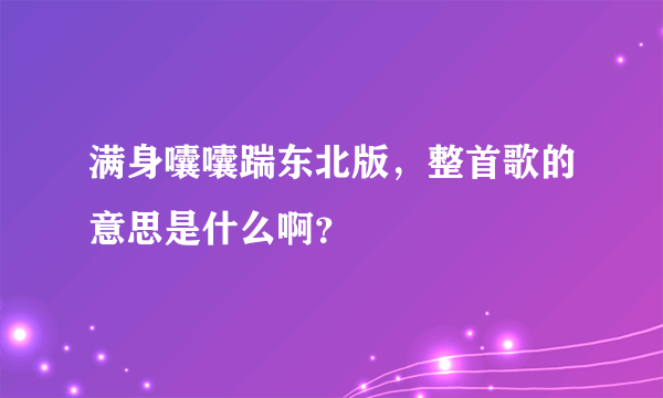 满身囔囔踹东北版，整首歌的意思是什么啊？