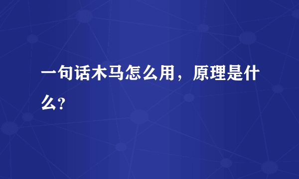 一句话木马怎么用，原理是什么？