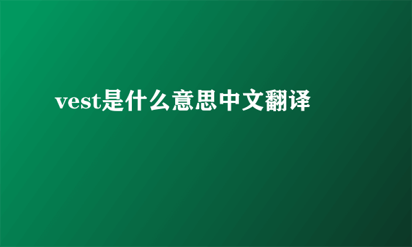 vest是什么意思中文翻译