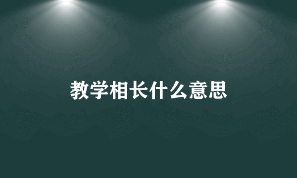 教学相长什么意思