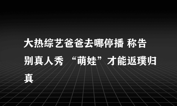 大热综艺爸爸去哪停播 称告别真人秀 “萌娃”才能返璞归真