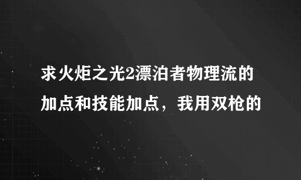 求火炬之光2漂泊者物理流的加点和技能加点，我用双枪的