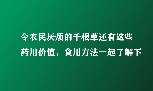 令农民厌烦的千根草还有这些药用价值，食用方法一起了解下