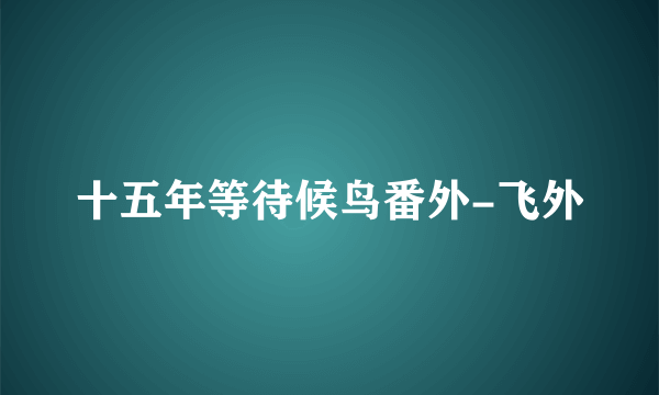 十五年等待候鸟番外-飞外