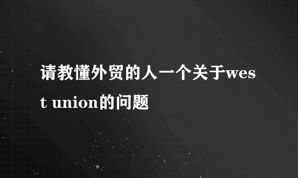 请教懂外贸的人一个关于west union的问题