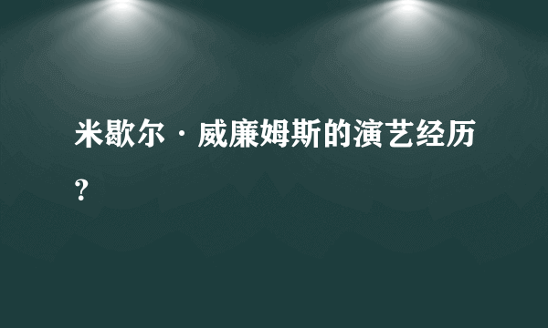 米歇尔·威廉姆斯的演艺经历？