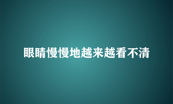 眼睛慢慢地越来越看不清