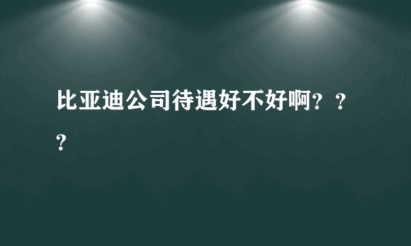 比亚迪公司待遇好不好啊？？？