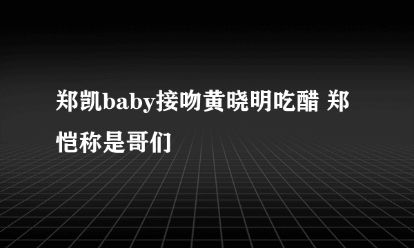 郑凯baby接吻黄晓明吃醋 郑恺称是哥们