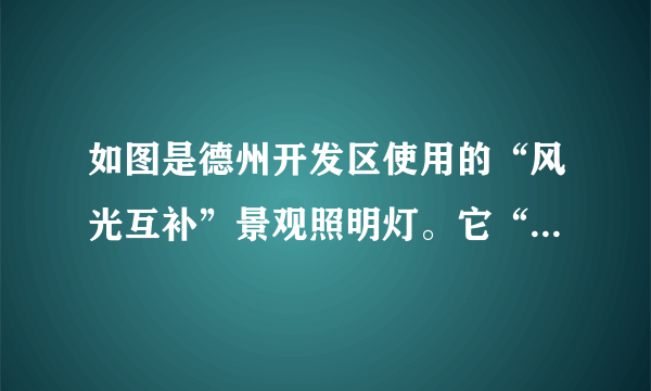 如图是德州开发区使用的“风光互补”景观照明灯。它“头顶”小风扇，“肩扛”光电池板，“腰挎”照明灯，“脚踩”蓄电池。下列解释合理的是（   ）A.光电池板是将电能转化为光能B.照明灯是将内能转化为电能C.小风扇利用风力发电，将机械能转化为电能D.蓄电池夜晚放电，将电能转化为化学能