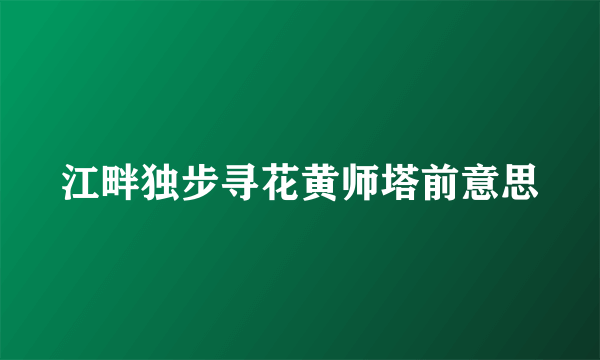 江畔独步寻花黄师塔前意思