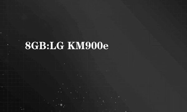 8GB:LG KM900e