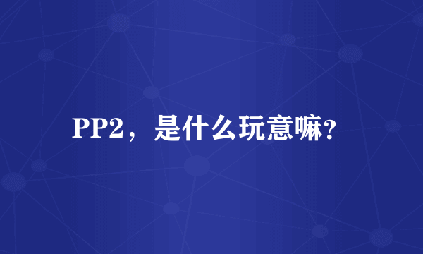 PP2，是什么玩意嘛？