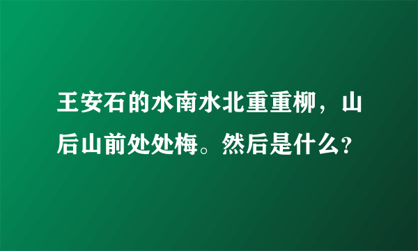 王安石的水南水北重重柳，山后山前处处梅。然后是什么？