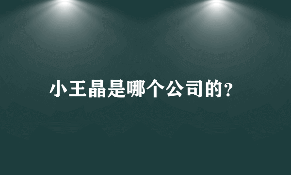 小王晶是哪个公司的？