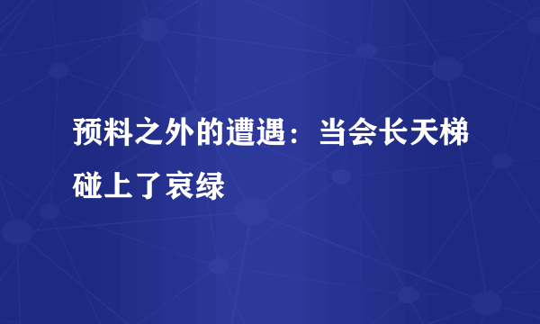 预料之外的遭遇：当会长天梯碰上了哀绿