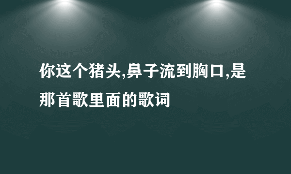 你这个猪头,鼻子流到胸口,是那首歌里面的歌词