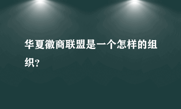 华夏徽商联盟是一个怎样的组织？