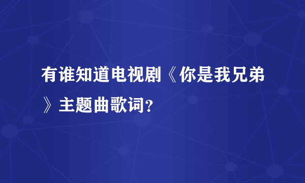 有谁知道电视剧《你是我兄弟》主题曲歌词？