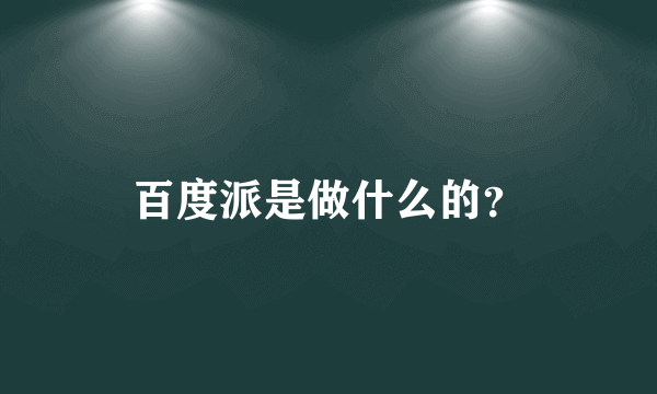 百度派是做什么的？