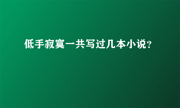 低手寂寞一共写过几本小说？