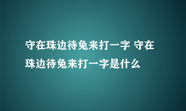 守在珠边待兔来打一字 守在珠边待兔来打一字是什么