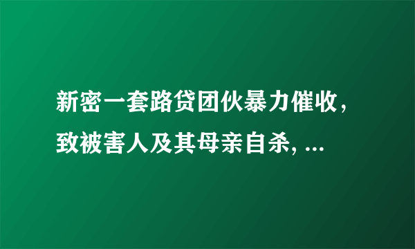 新密一套路贷团伙暴力催收，致被害人及其母亲自杀, 你怎么看？