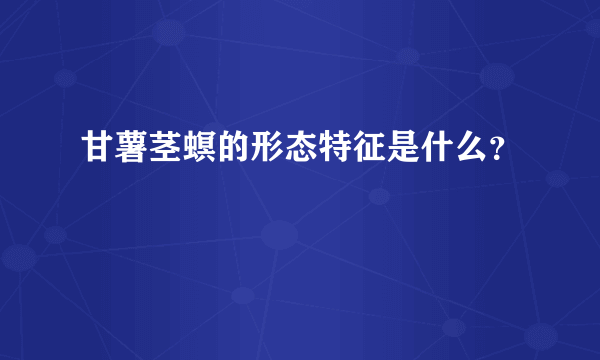 甘薯茎螟的形态特征是什么？