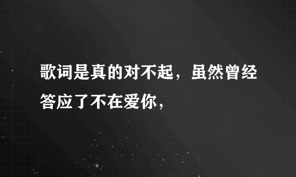 歌词是真的对不起，虽然曾经答应了不在爱你，