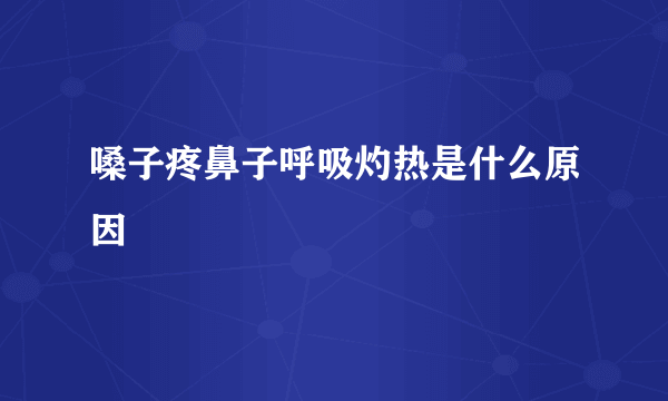 嗓子疼鼻子呼吸灼热是什么原因