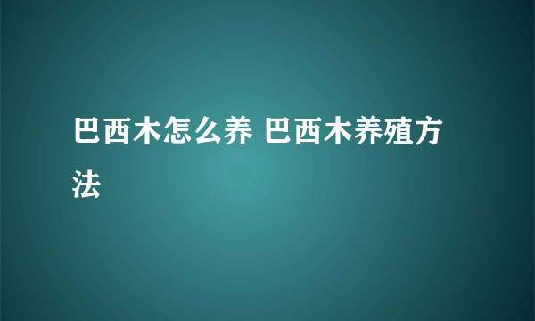 巴西木怎么养 巴西木养殖方法