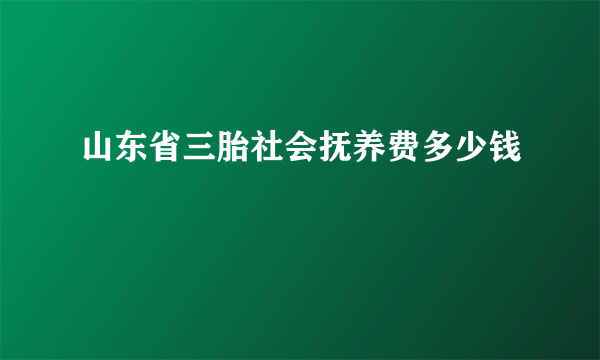 山东省三胎社会抚养费多少钱