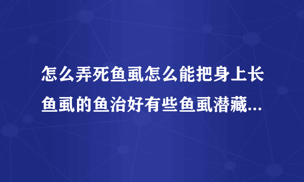 怎么弄死鱼虱怎么能把身上长鱼虱的鱼治好有些鱼虱潜藏的很隐蔽不容易发现