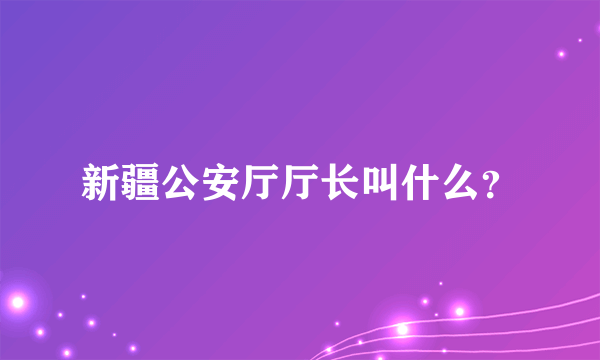 新疆公安厅厅长叫什么？