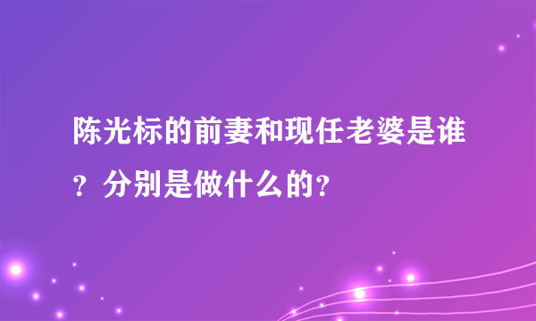 陈光标的前妻和现任老婆是谁？分别是做什么的？