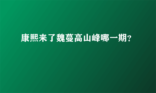 康熙来了魏蔓高山峰哪一期？