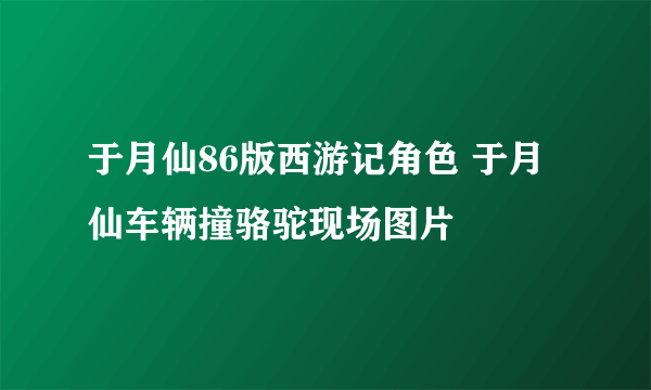 于月仙86版西游记角色 于月仙车辆撞骆驼现场图片