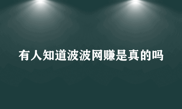 有人知道波波网赚是真的吗