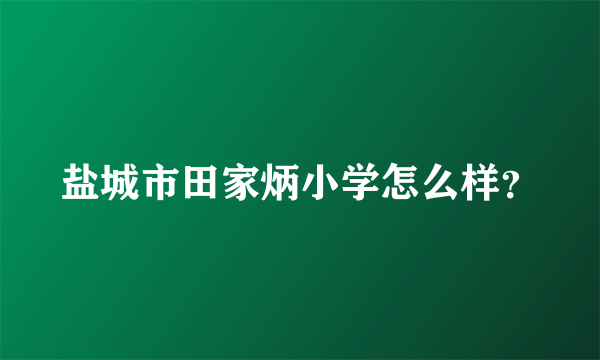 盐城市田家炳小学怎么样？