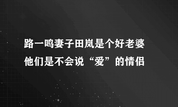 路一鸣妻子田岚是个好老婆 他们是不会说“爱”的情侣